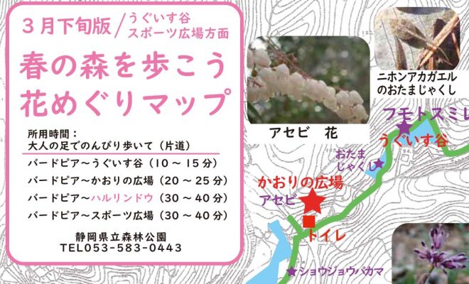 春の森を歩こう 花めぐりマップ 3月下旬版 公開中 静岡県立森林公園